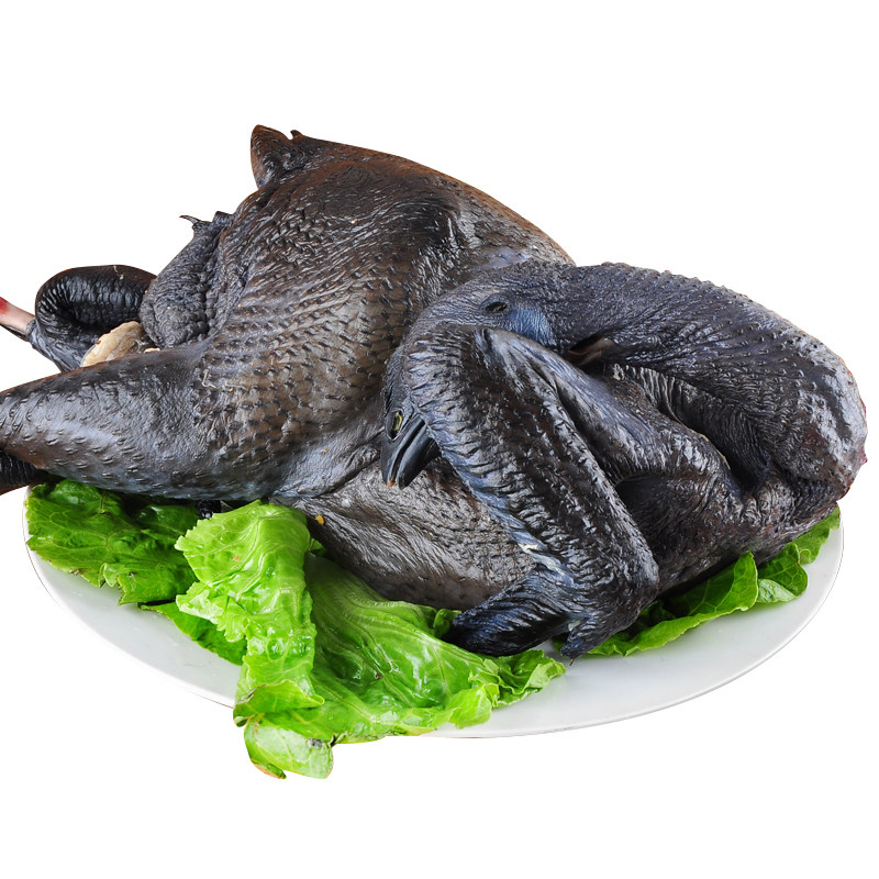 五黑鸡跑步鸡活体现杀整鸡肉质鲜嫩夏季包邮土鸡散养农家黑羽土鸡