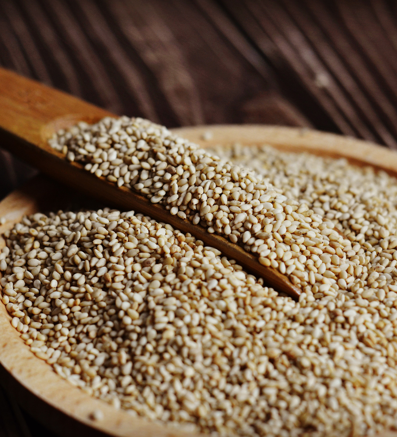 芝麻白芝麻炒熟即食带皮干净免洗农家散装桶装其它粮食