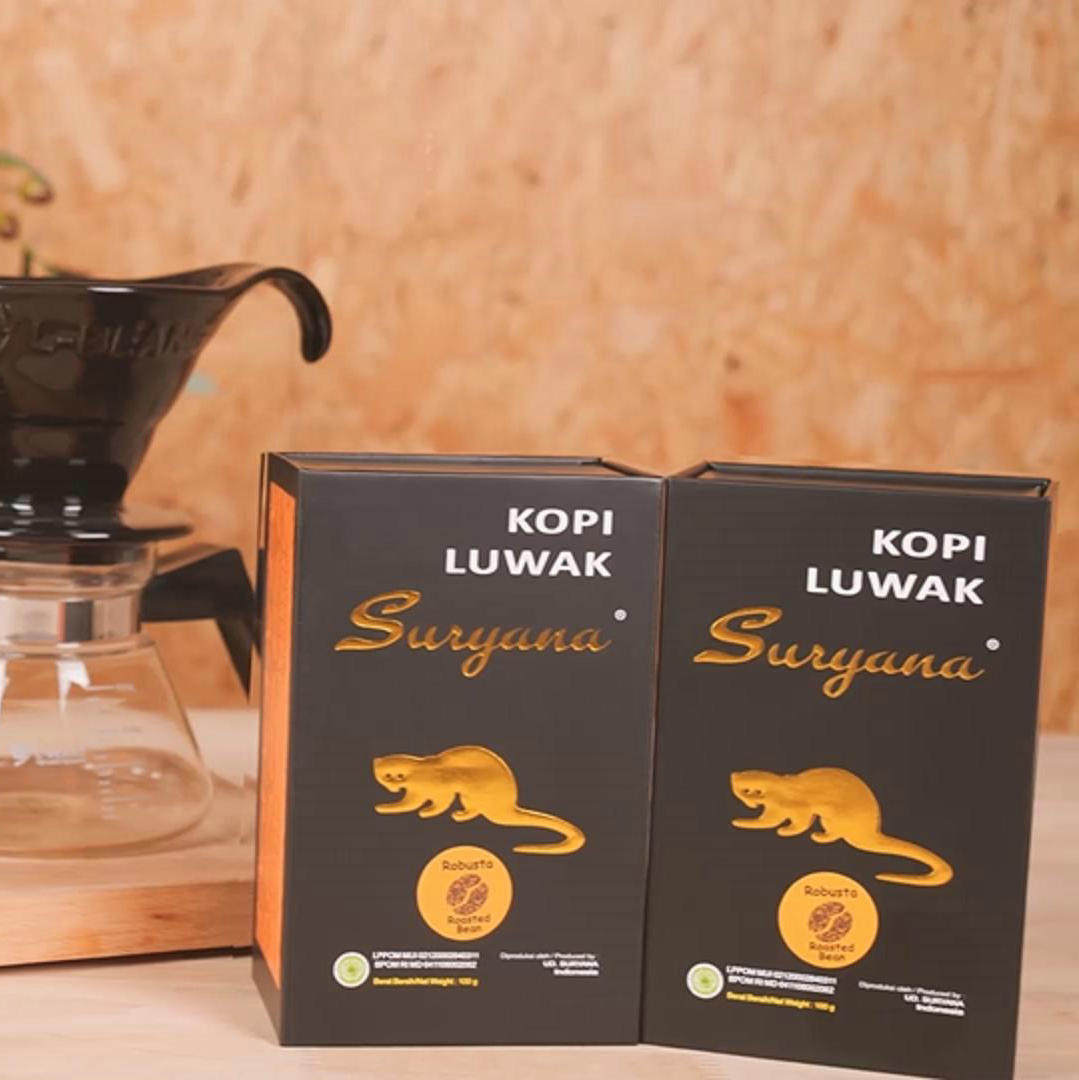 印尼猫屎咖啡豆kopiluwak麝香香猫巴厘岛纯咖啡研磨咖啡粉