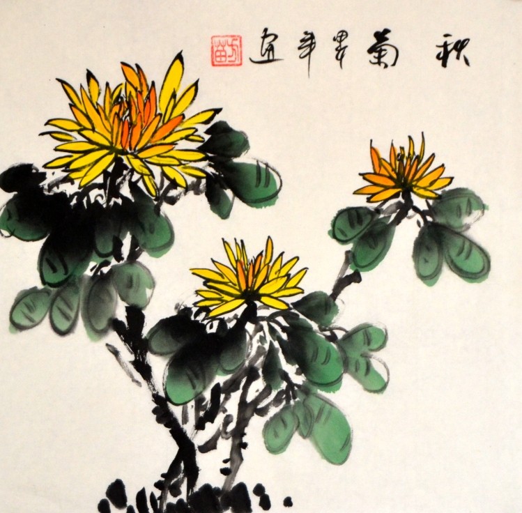 国画菊花挂画画心装饰画装饰淡雅手绘方苗纯小品国画