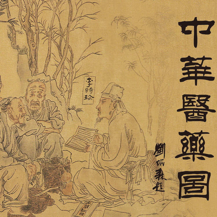 中华医药华佗张仲景药王十大名医卷轴诊所中医养生装饰国画