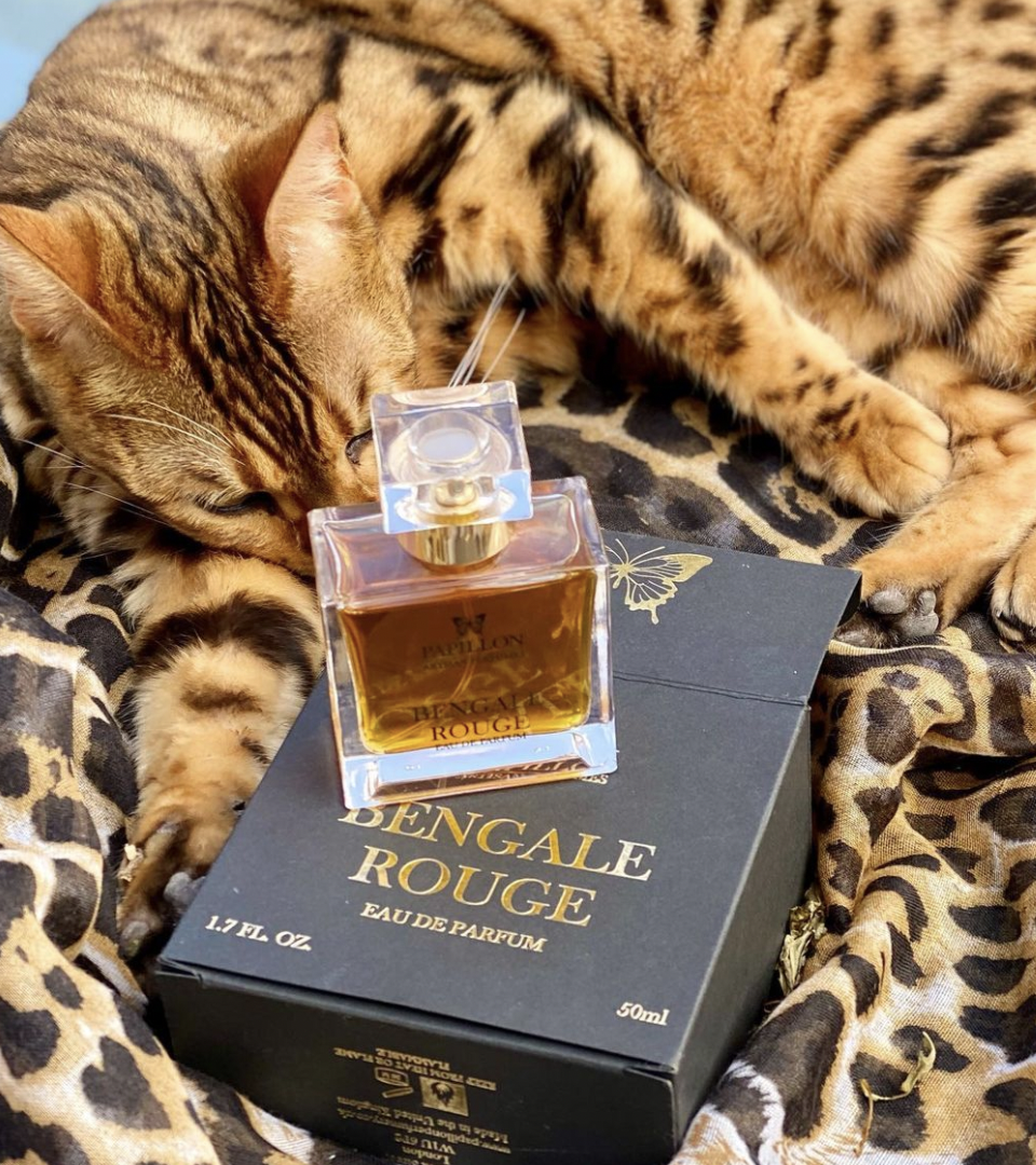 现货蝴蝶工匠papillonartisan阿努比斯树妖烟草玫瑰香水