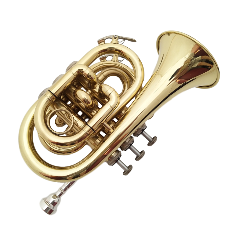 巴哈手掌乐器金色学生初学者省力袖珍小号银色小号