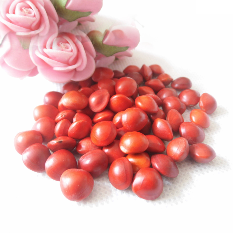 提子菩提进口相思豆手链念珠108颗血菩红豆通货佛珠