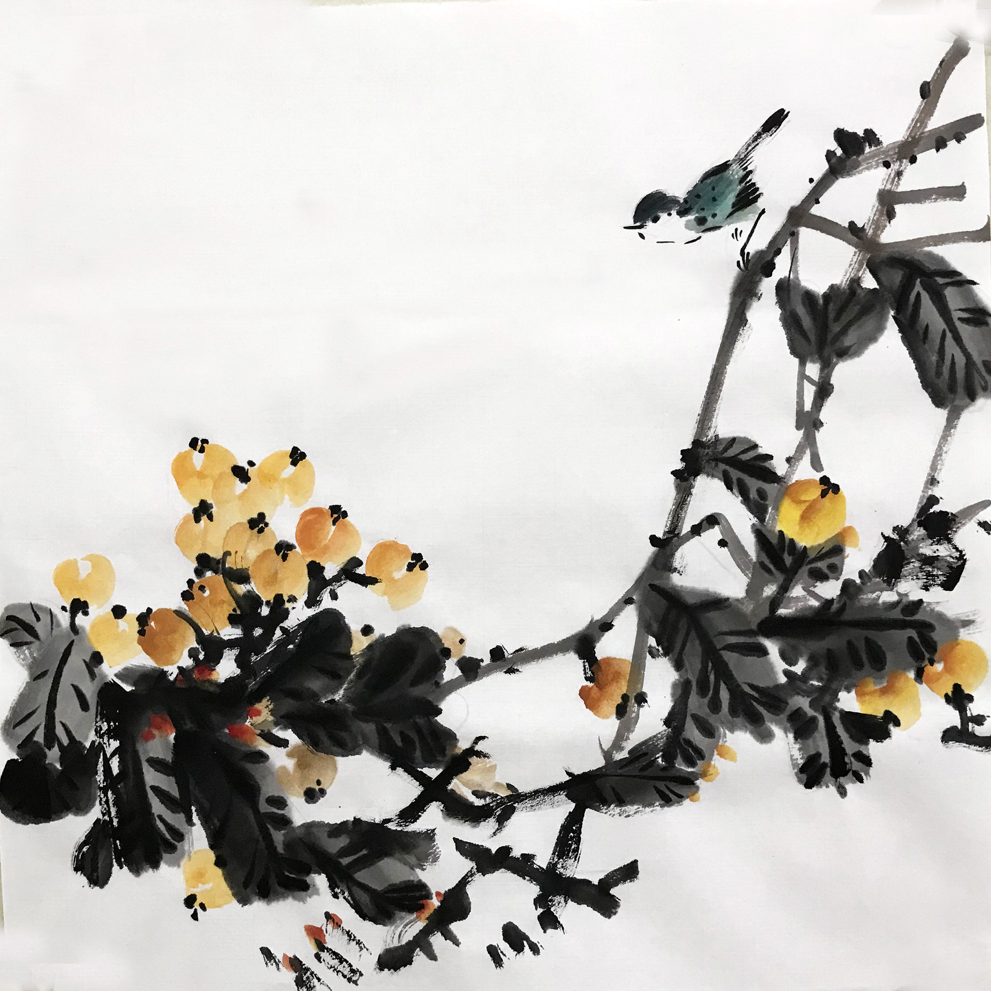 枇杷小鸟3827三尺斗方50cm国画水墨无款手绘国画