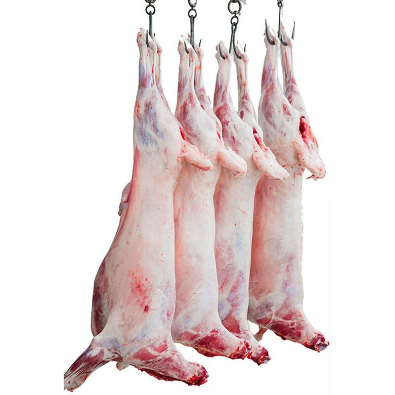 羊肉全羊整羊新鲜24斤宁夏盐池滩羊清真礼盒生羊肉