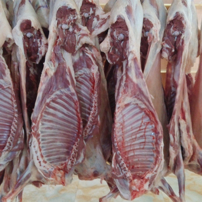新鲜整只羊全羊羔宁夏盐池滩羊清真羊肉白条羊整羊农家烤全羊整只