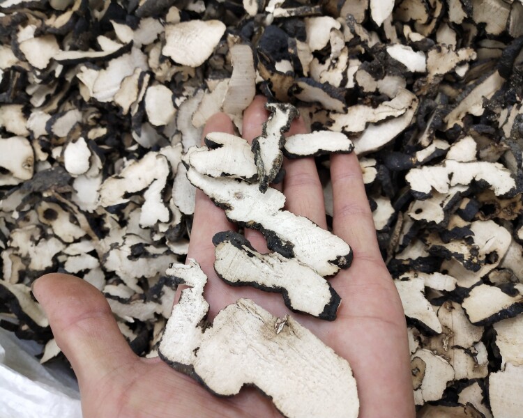 中药材东北特产野生生猪优质猪苓片茯苓屎苓野猪其他药食同源食品