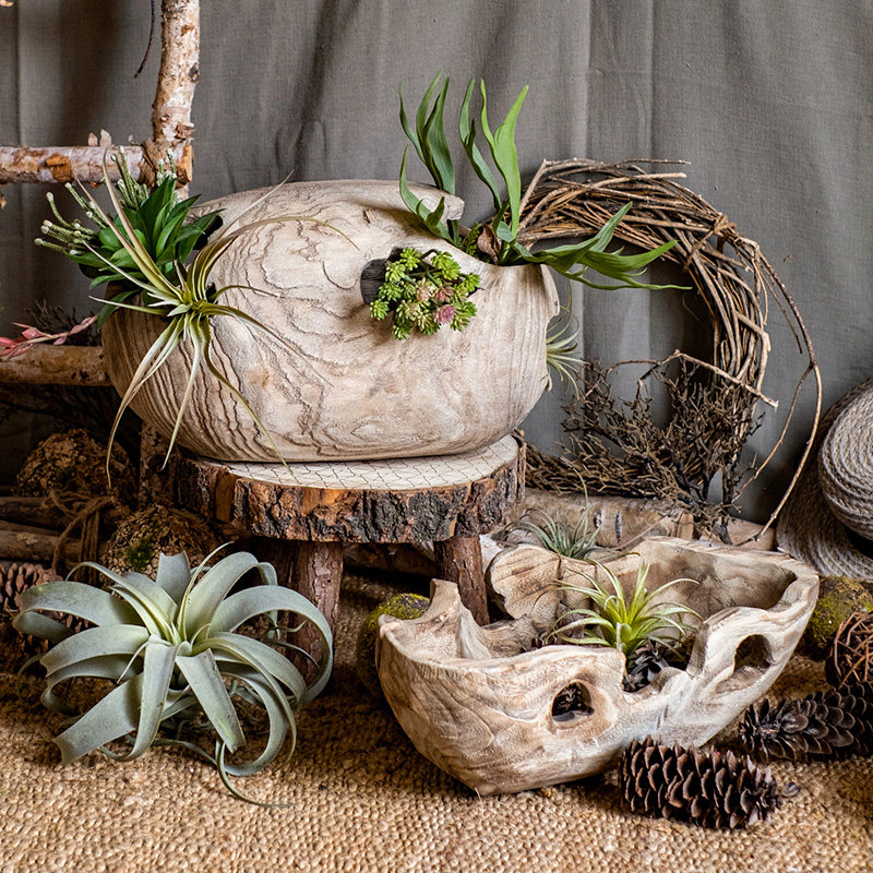 掬涵素木梧桐花花盆装饰器皿实木原木天然艺术花盆