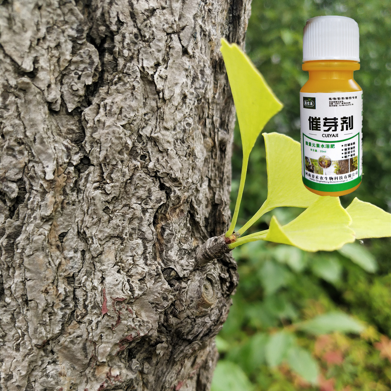 催芽抽枝宝果树催芽剂催芽抽枝增产素苹果茶叶花卉苗木专用叶面肥