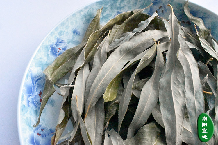 18纯天然野生小叶榆树叶茶 新鲜晒干榆叶茶1斤包邮春榆 乡下榆钱