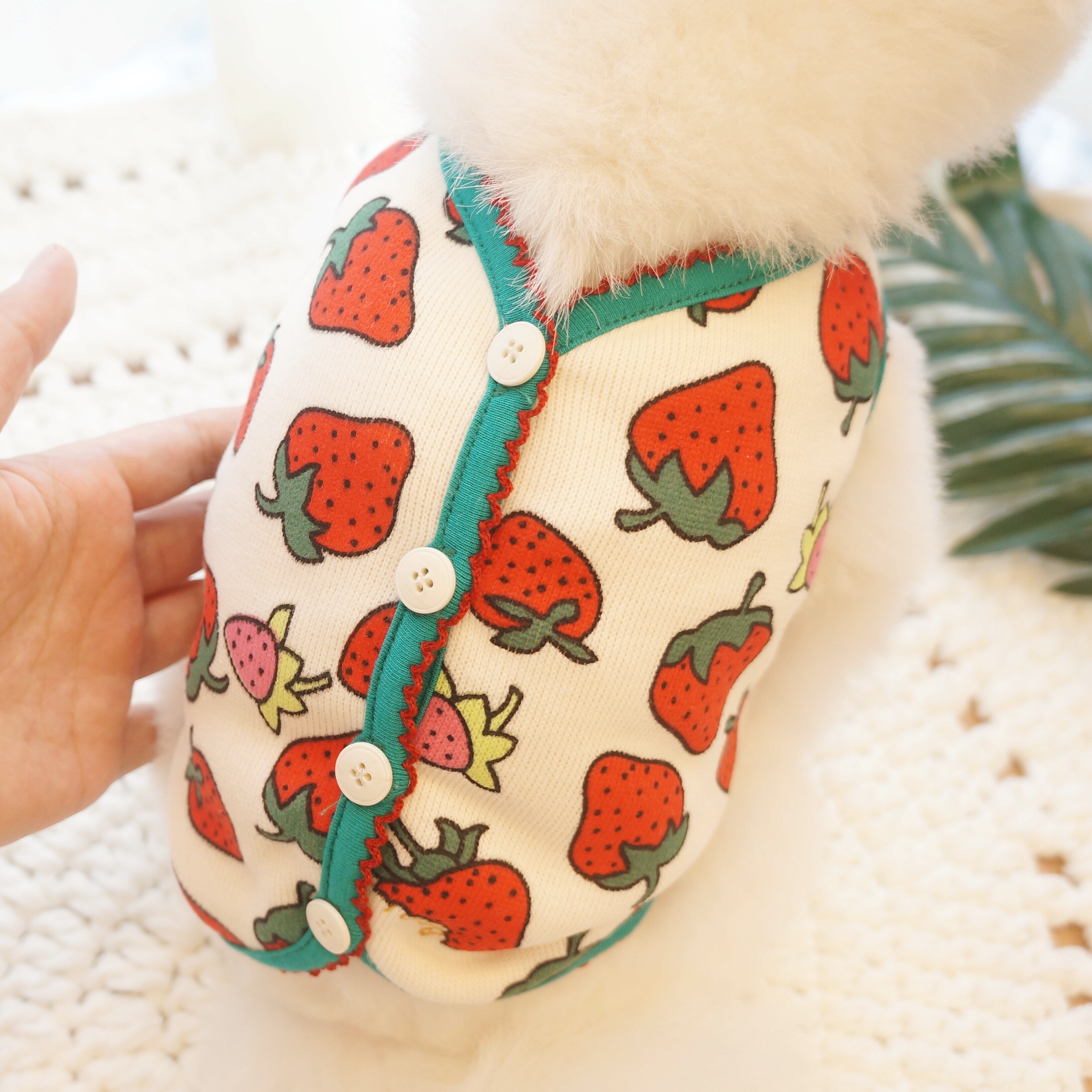 豆豆美泰加绒舒适熊舒适迪比博美印花草莓衣服宠物服装