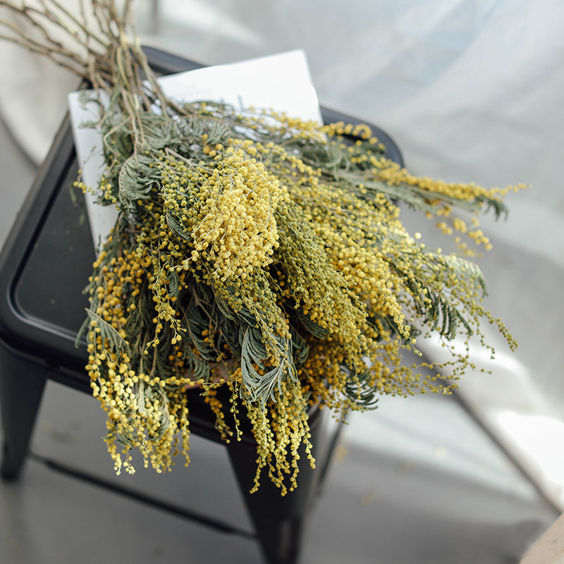北欧家居金合欢干花花束真花风干天然装饰摆件干花