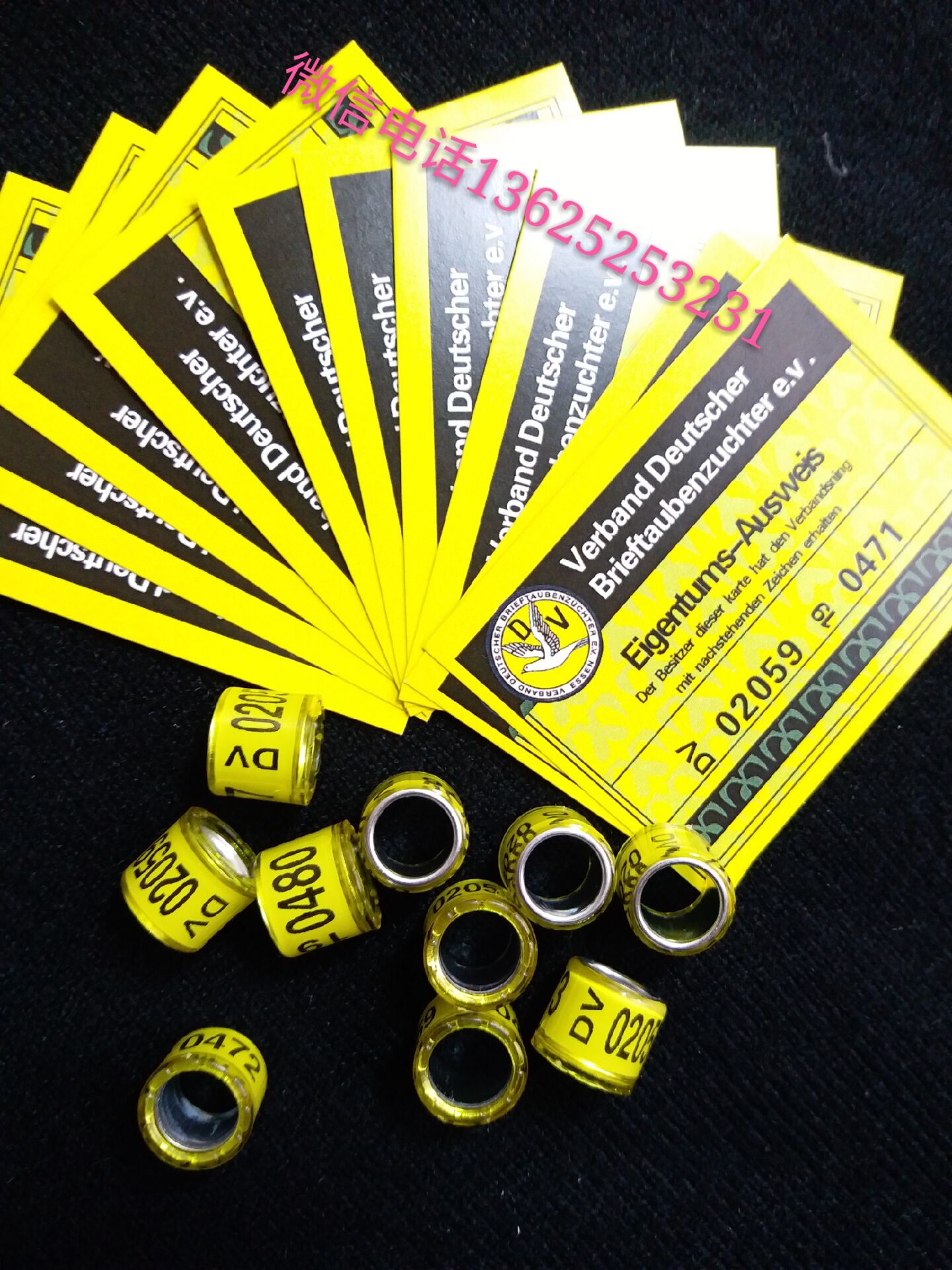 2019年德国带证信鸽足环鸽子脚环用品赛鸽正品其他