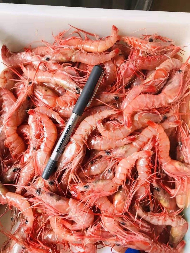 石塘老实赞生晒虾大号红虾干即无头虾干海鲜虾干