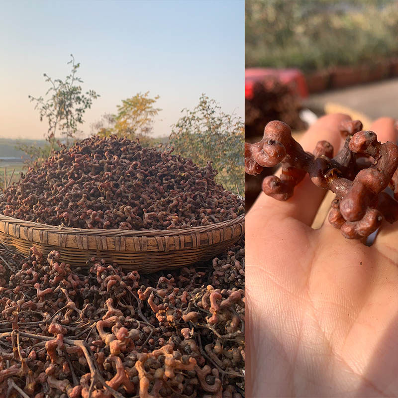 3斤爪果钩子金钩子泡酒梨拐新鲜鸡爪万寿果野生枣