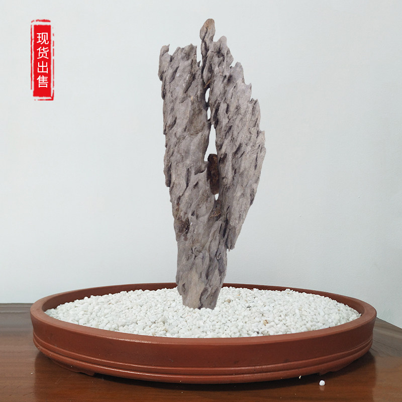 英德天然桌面装饰鱼缸花盆绿植树抱石盆景石附树摆件