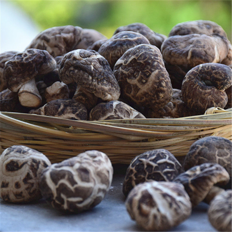 香菇秦岭剪脚发包地直产地食用烧肉煲汤干货香菇类