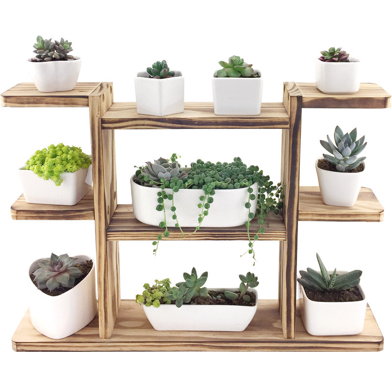 肉肉花架实木阳台窗台桌面多肉植物物架简约花架
