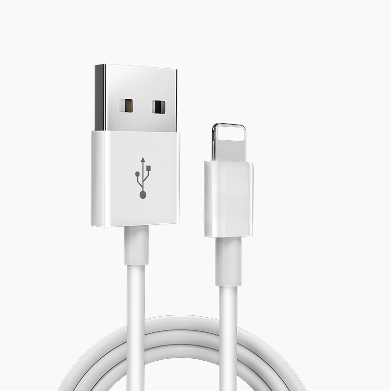 iPhone6s苹果数据线 iphone5s/6/7/8 ipad快充手机通用数据线苹果短闪充电线XS 7Plus加长冲电线正品 - 图0