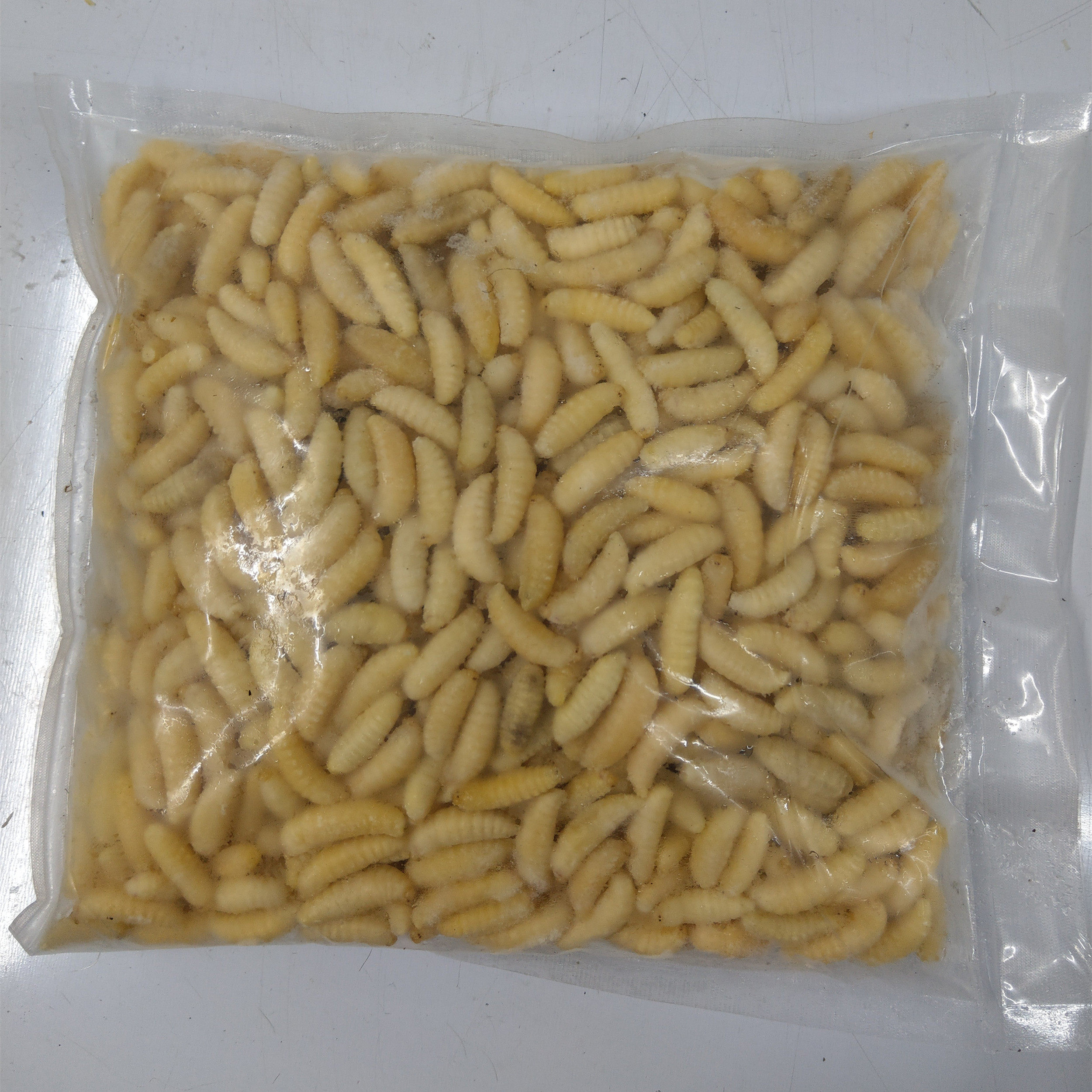 大土蜂大虎头蜂熟冻野生黄蜂幼虫蜂蛹一级二级精选蜂蛹50斤起批