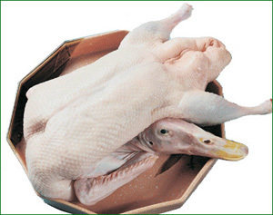 一斤白条鸭田鸭广东脆皮烧鸭专用鸭新鲜白条鸭现杀整只打气65元