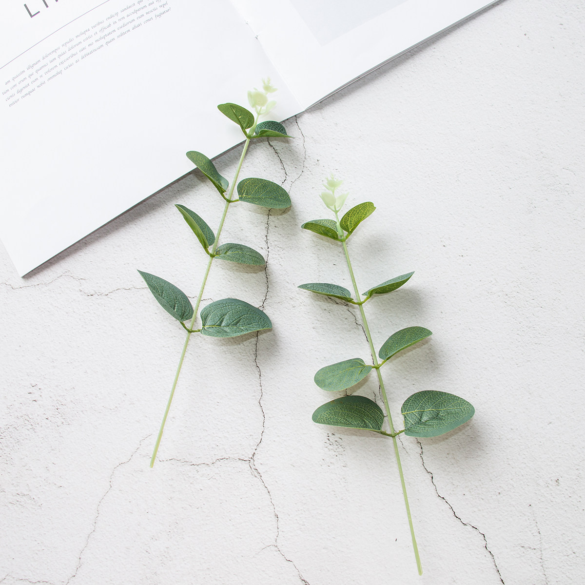 单支仿真尤加利ins极简绿色植物叶子拍照道具摄影背景布类