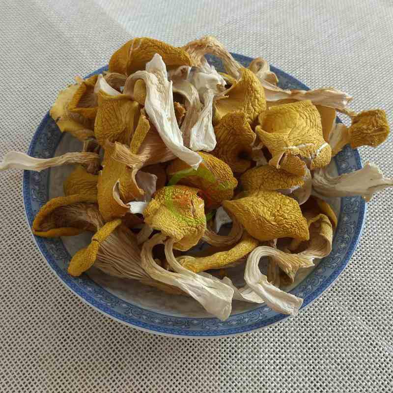 云南鸡油菌干货 黄金菇榆黄菇香菇云南土特产100g包邮 野生黄丝菌