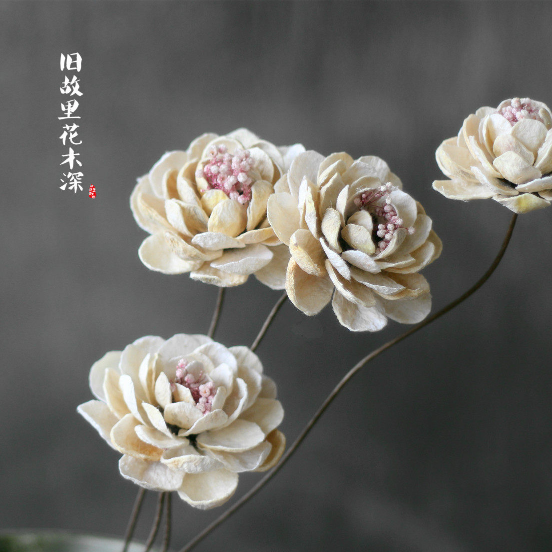 干花牡丹花花枝工作艺术文艺文艺家家居家饰牡丹干花