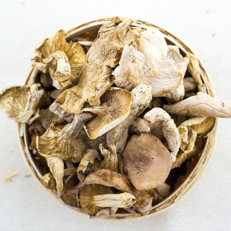 绿然草原花脸蘑250克礼盒装内蒙古呼伦贝尔特产蘑菇山货菌子