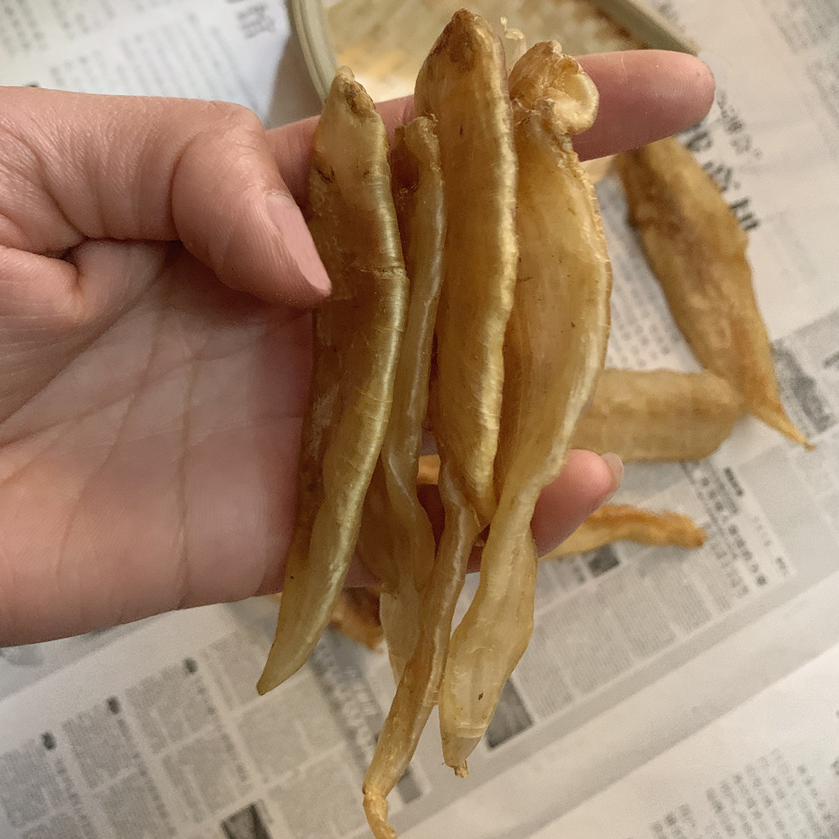 天然金龙野生无添加大黄大黄鱼鱼胶南澳干货海产中花胶