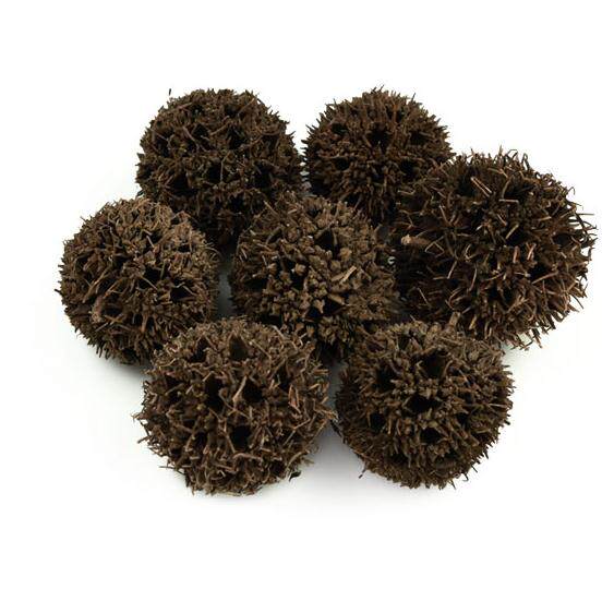 路路通5斤包邮六六通九孔子500g克7元中药材初级农产品