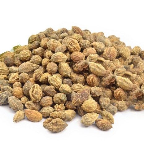 益智仁益智仁子新鲜大粒益智仁500g克包邮中药材初级农产品