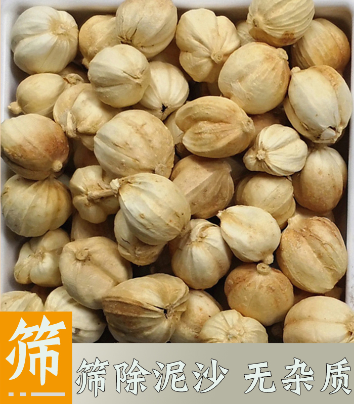 正宗250克香料白叩寇仁硫白包邮无白扣元纯真豆蔻花椒