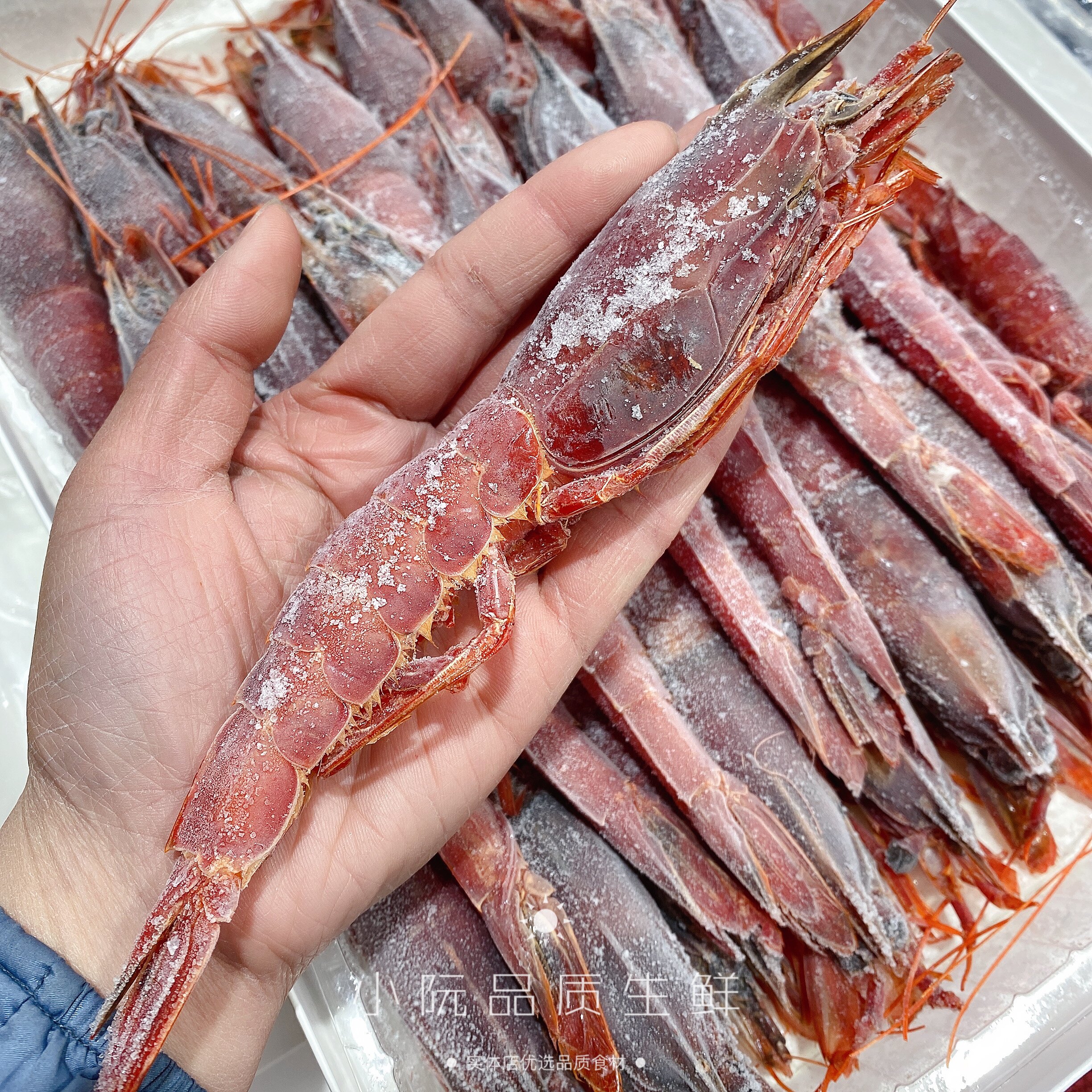 深海西班牙红魔胭脂绯红东海冷冻大虾刺身级红虾冻虾