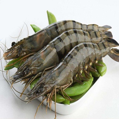上海闪送鲜活草虾青岛虎虾野生大草九节虾斑节一斤单价活虾