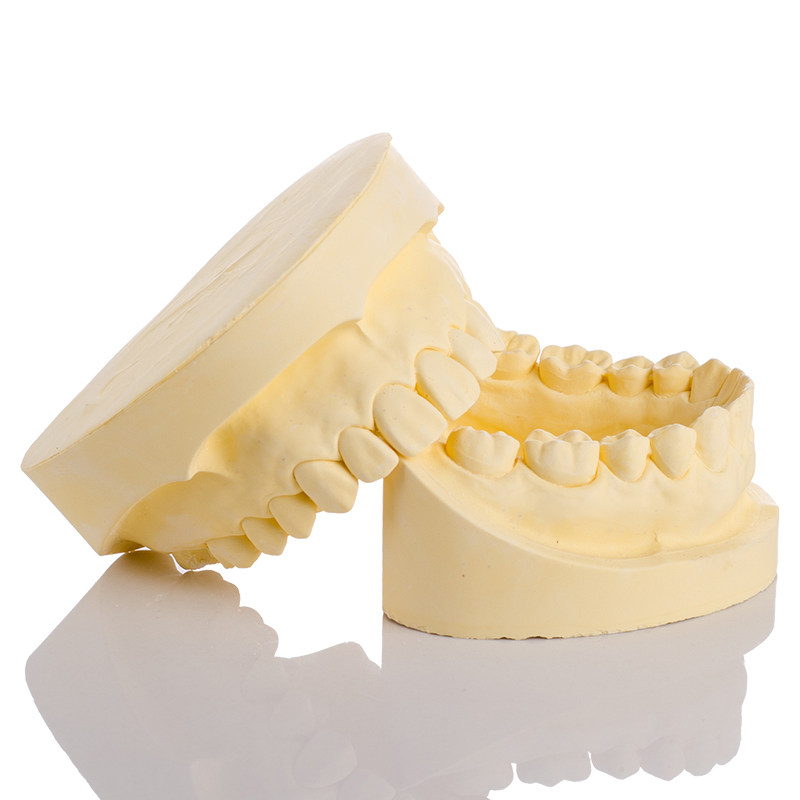 全口牙齿模型成人标准牙齿超硬石膏模型 口腔学教材牙科牙模包邮