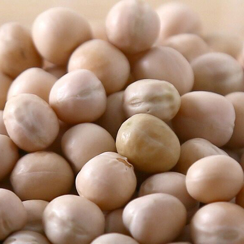 豌豆4斤杂粮四川豆粒麻豌白豌豆豆类包邮新鲜其它
