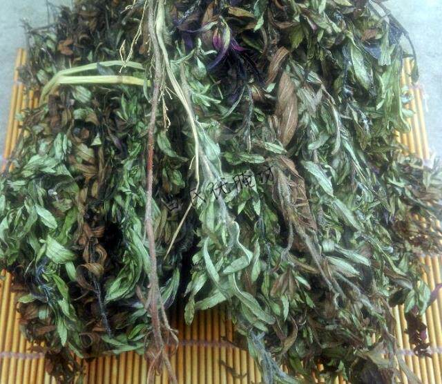 云南烧烤摊小山茶50克凤尾茶家乡特产干货初级农产品