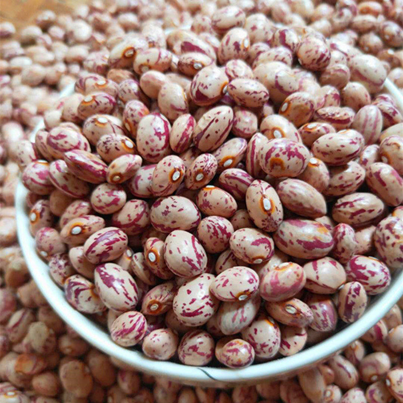 5斤雀蛋豆新货农家自种金丝豆红花豆奶花豆芸豆杂粮粗粮包邮