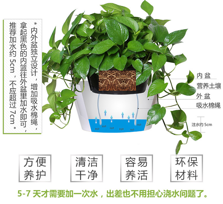 特大号圆形自动吸水懒人花盆树脂塑料碗莲绿萝花盆室内种菜盆包邮