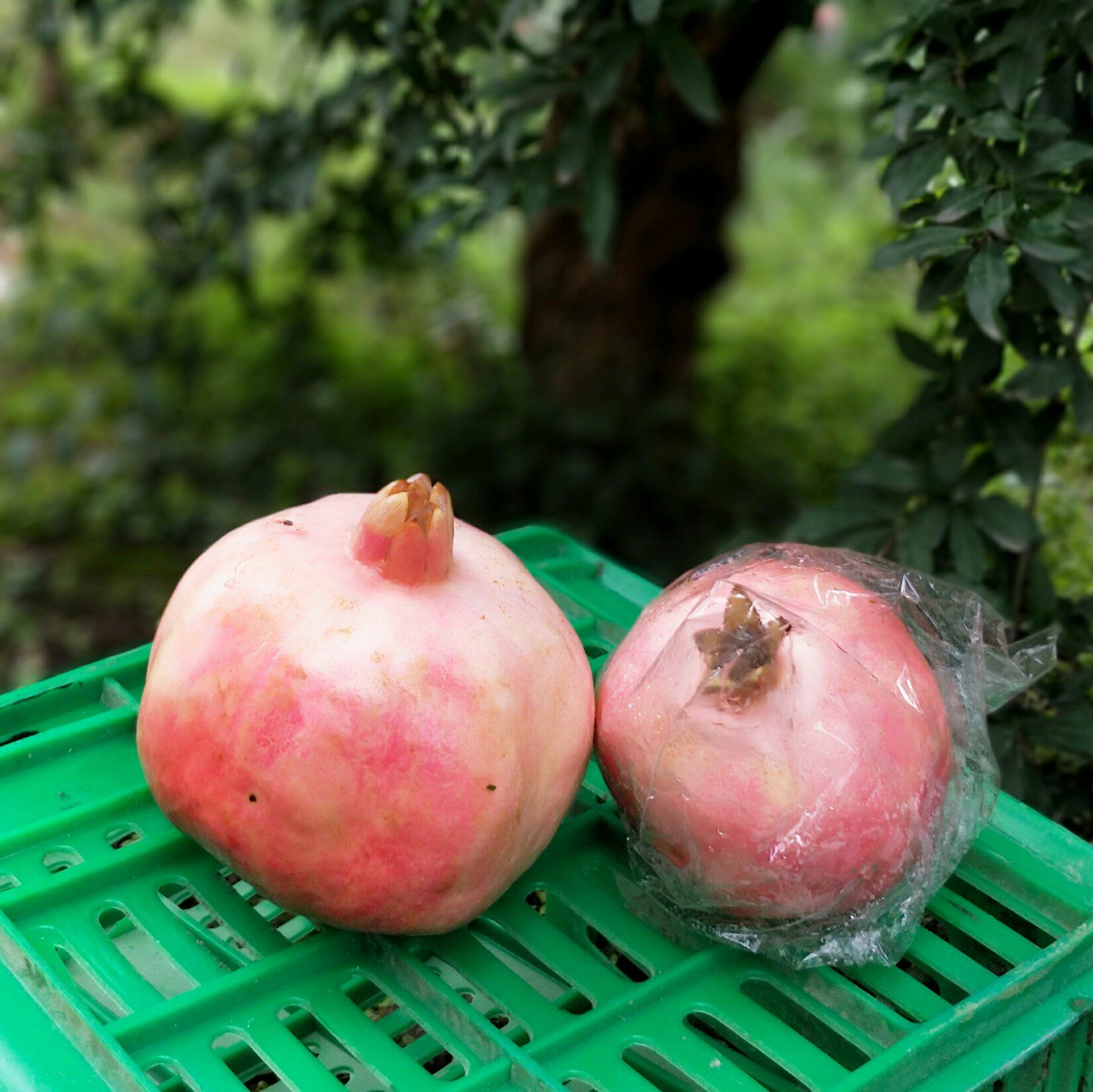 西安特产临潼石榴新鲜水果陕西红心一级甜果石榴