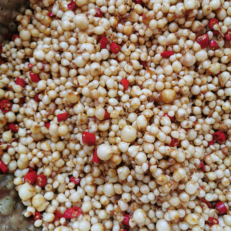 云南特产新鲜苦藠小蒜苦藠头团葱苦蒜小根蒜小其它