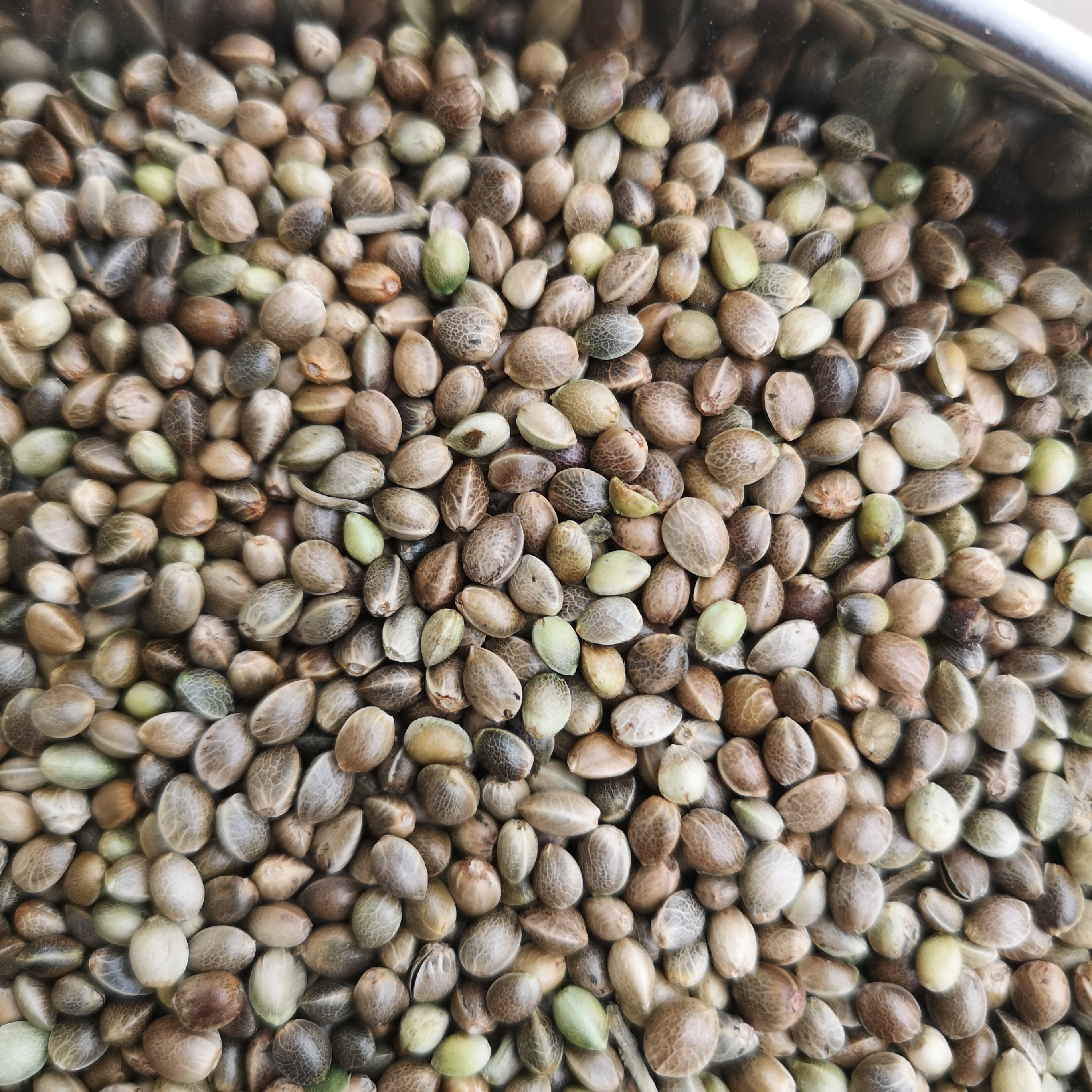 麻籽仓鼠五斤一份鸟粮饲料鸟食鹦鹉颗粒鸽子鸟食