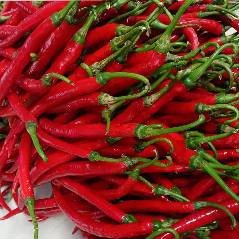 湖南新鲜红辣椒本地荆条薄皮红丝农家自种当季辣椒