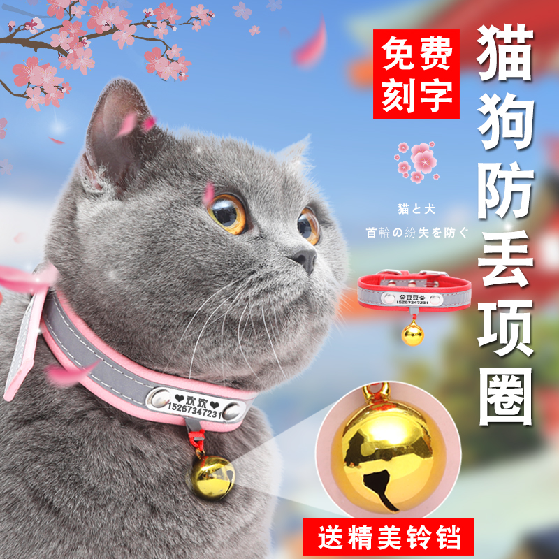 拍两定制狗狗项圈刻字防丢项圈