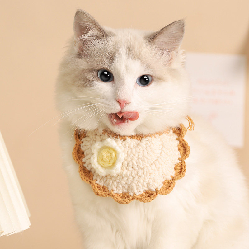 猫咪项圈宠物猫圈装饰脖子狗狗饰品项链编织项圈