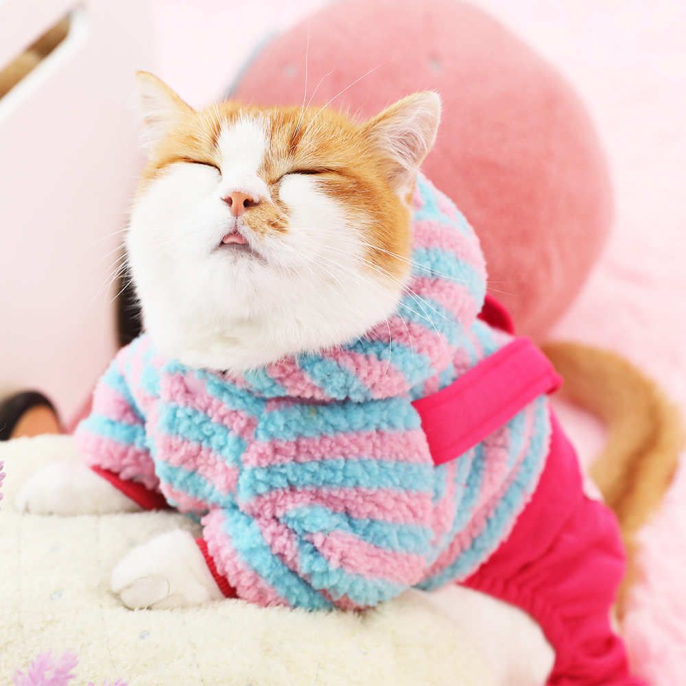 猫咪衣服冬天天防掉毛棉衣宠物英短蓝猫可爱宠物服装