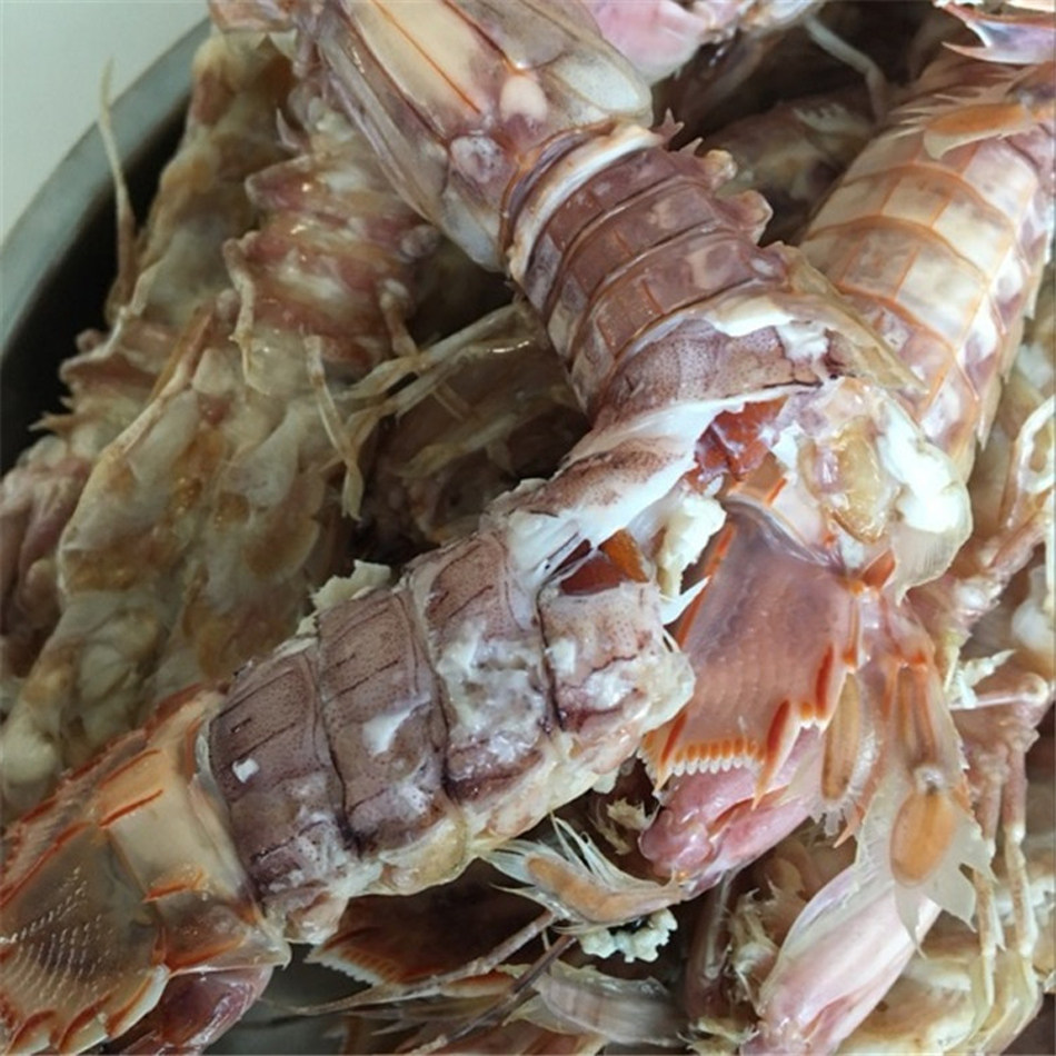 现货500g野生全母皮皮虾鲜活母琵琶虾 虾爬子 虾姑富贵虾海鲜水产