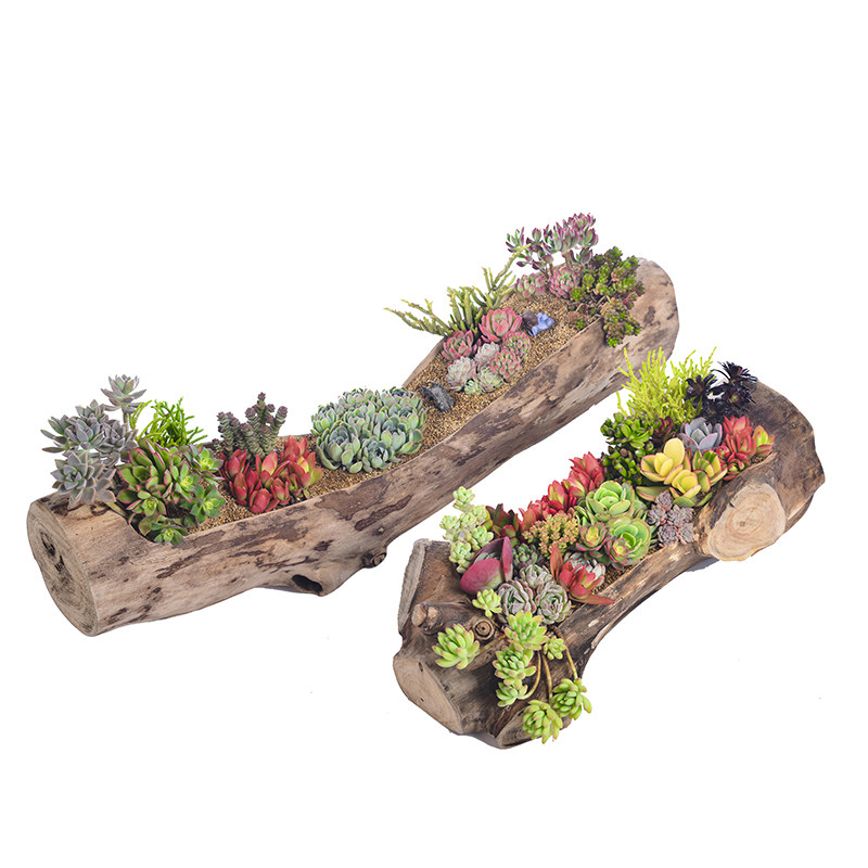 山人创意阳台多肉木头长方形唐印石斛老树树桩花盆